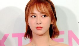 娱乐圈爆料10条,明星幕后故事大揭秘